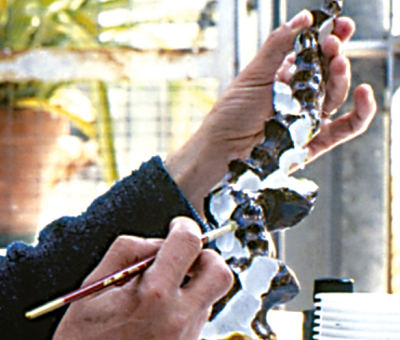 Mostra: Creatività